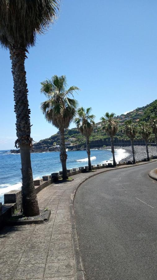 Ferienwohnung Lazy Lizard By The Ocean Seixal  Exterior foto