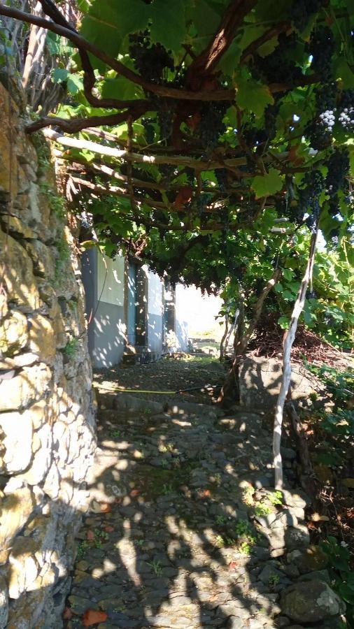 Ferienwohnung Lazy Lizard By The Ocean Seixal  Exterior foto