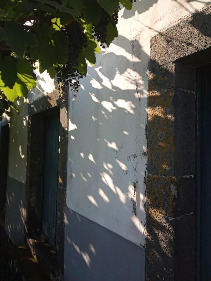Ferienwohnung Lazy Lizard By The Ocean Seixal  Exterior foto